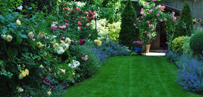 Jardin après réhabilitation