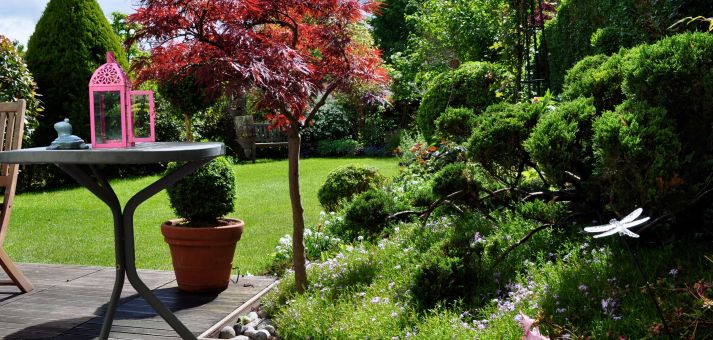 Jardin luxuriant après