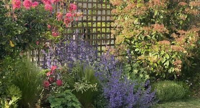 Jardin à Irigny 455