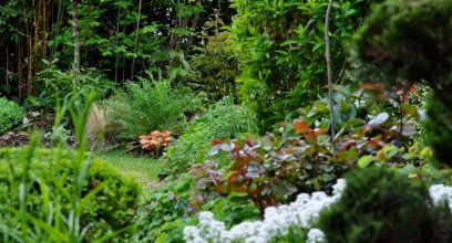 Petit jardin Anglais 304