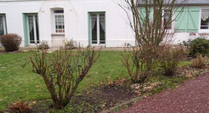 Jardin de curé 229