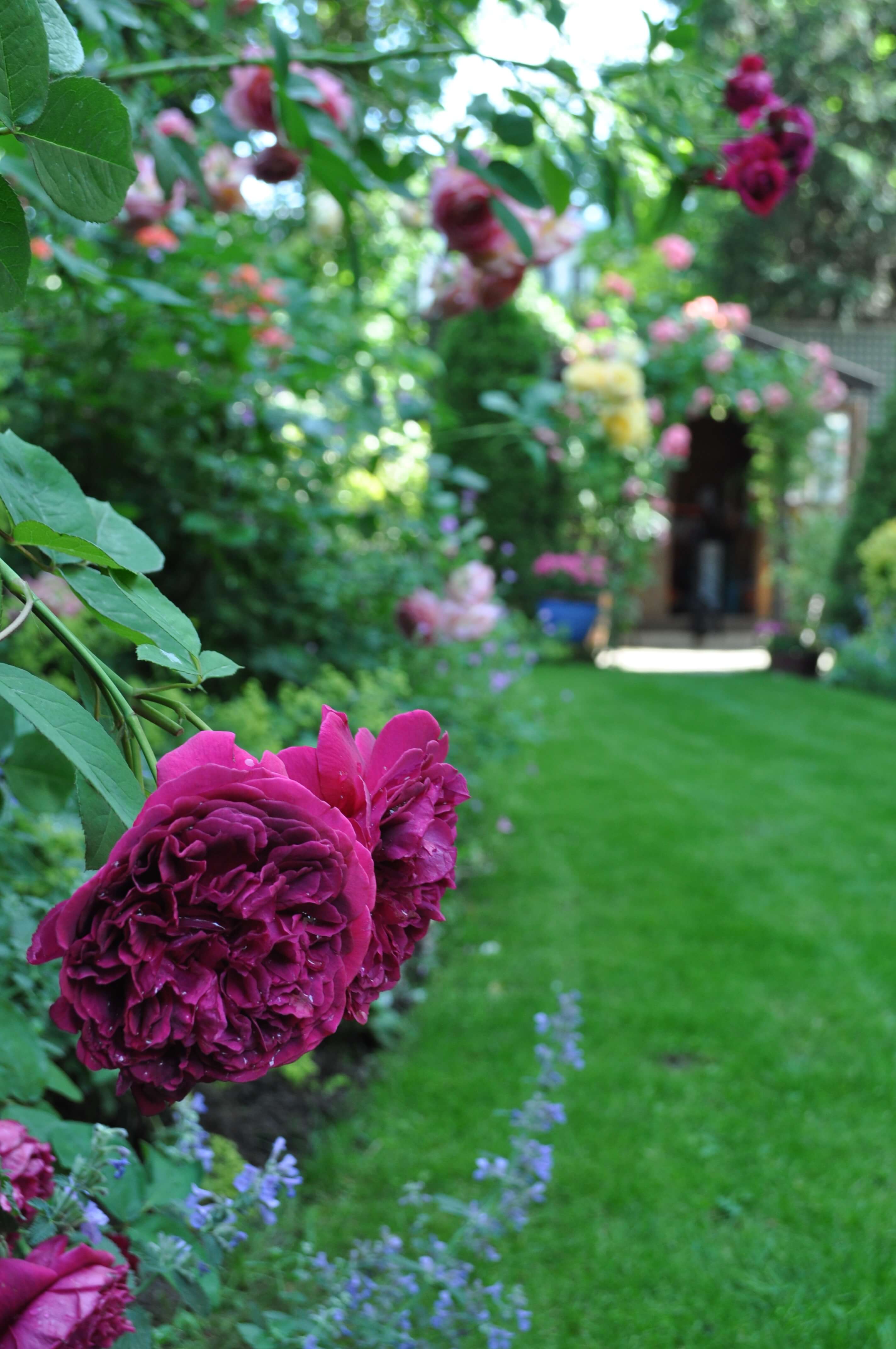 Un jardin aménagé par le paysagiste Vert Ambiance